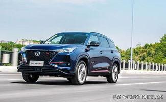 2019国产精品,匠心独运，绽放时代光彩  第3张