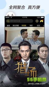 国产视频欧美,欧美市场刮起中国风  第3张