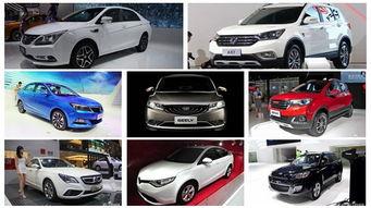 精品国产自,探索我国自主创新的辉煌成就