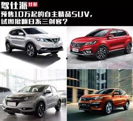 精品国产自,探索我国自主创新的辉煌成就  第2张