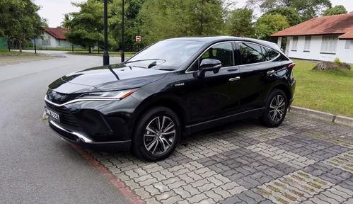 国产官网,探索创新科技，引领未来生活新篇章  第2张