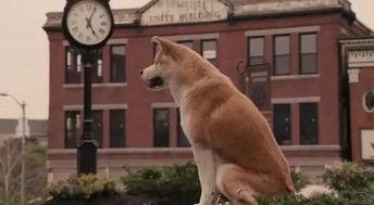 国产人与狗  第2张