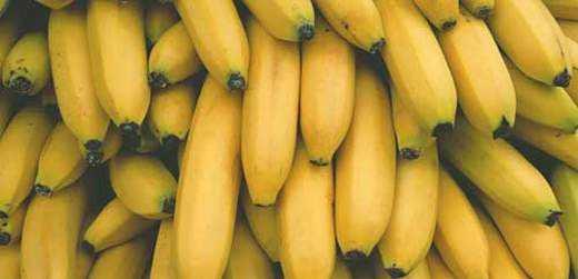 国产香蕉网  第3张