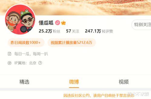 400部国产精品,映照时代光影，传承文化瑰宝  第2张