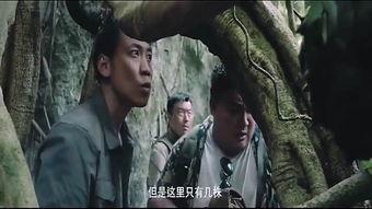 国产免费的野战视频,揭秘真实战场上的英勇瞬间  第3张