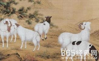 羊了个羊娱乐吃瓜爆料,揭秘娱乐圈最新爆料背后的真相