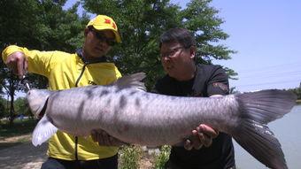 青鱼视频国产在线,国产在线影视盛宴，尽享视听盛宴