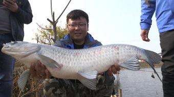 青鱼视频国产在线,国产在线影视盛宴，尽享视听盛宴