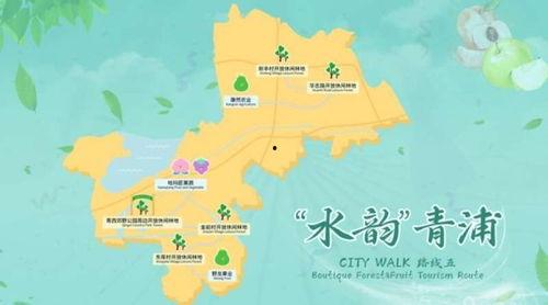 娱乐吃瓜清冷路线,清冷吃瓜,揭秘明星幕后故事