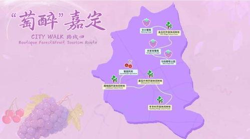 娱乐吃瓜清冷路线,清冷吃瓜,揭秘明星幕后故事